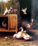 unknow artist Duck and Pigeon Spain oil painting artist